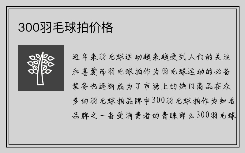 300羽毛球拍价格